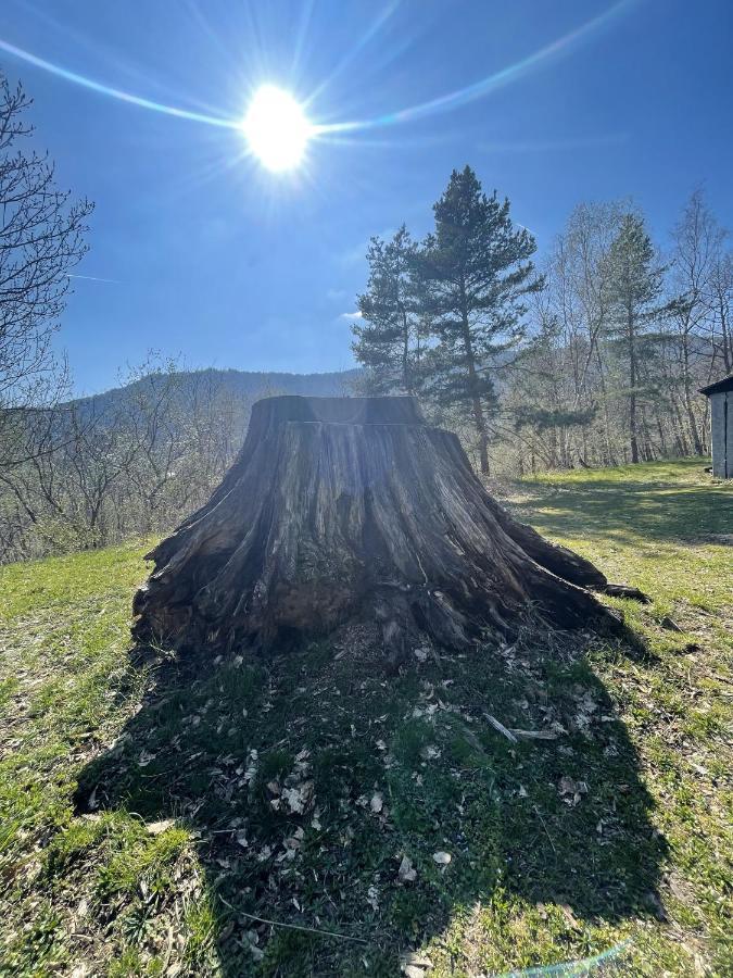 Le Manoir des Sens - Forêt de Bergheim Exterior foto